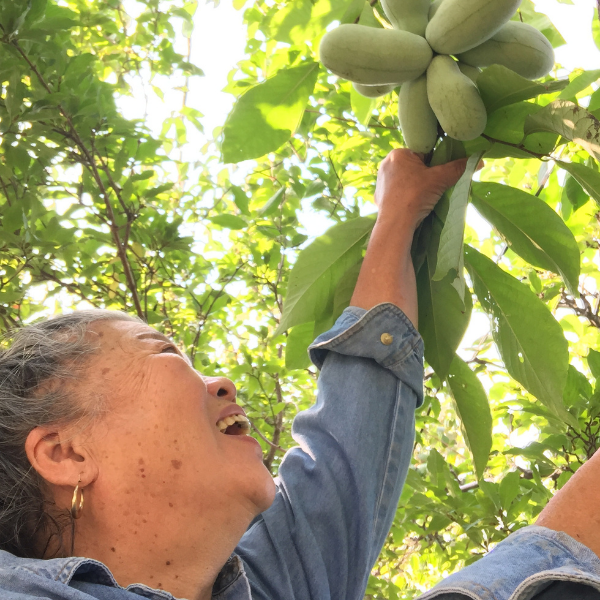 Oriana's Orchard