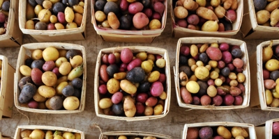 Food For All Market - SUSTAINABILITY